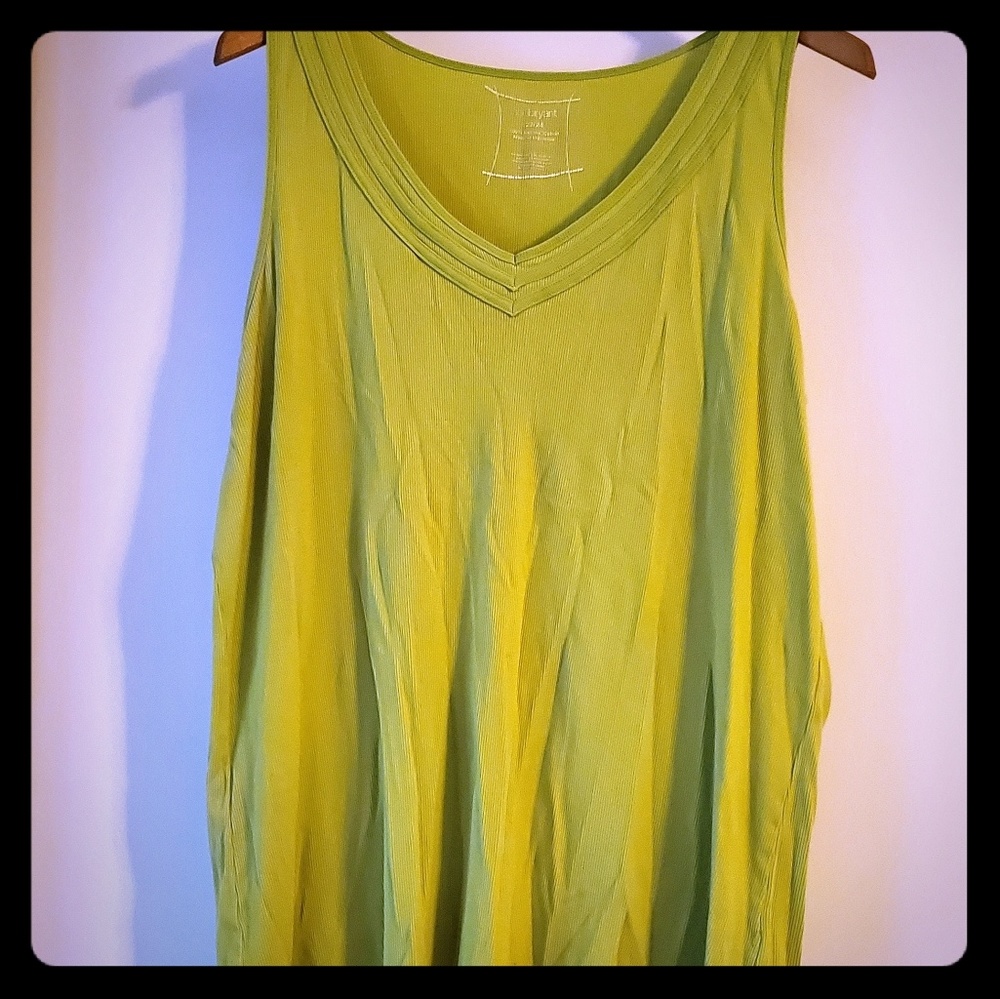 5 for 25 bundle GUC Lane Bryant tank